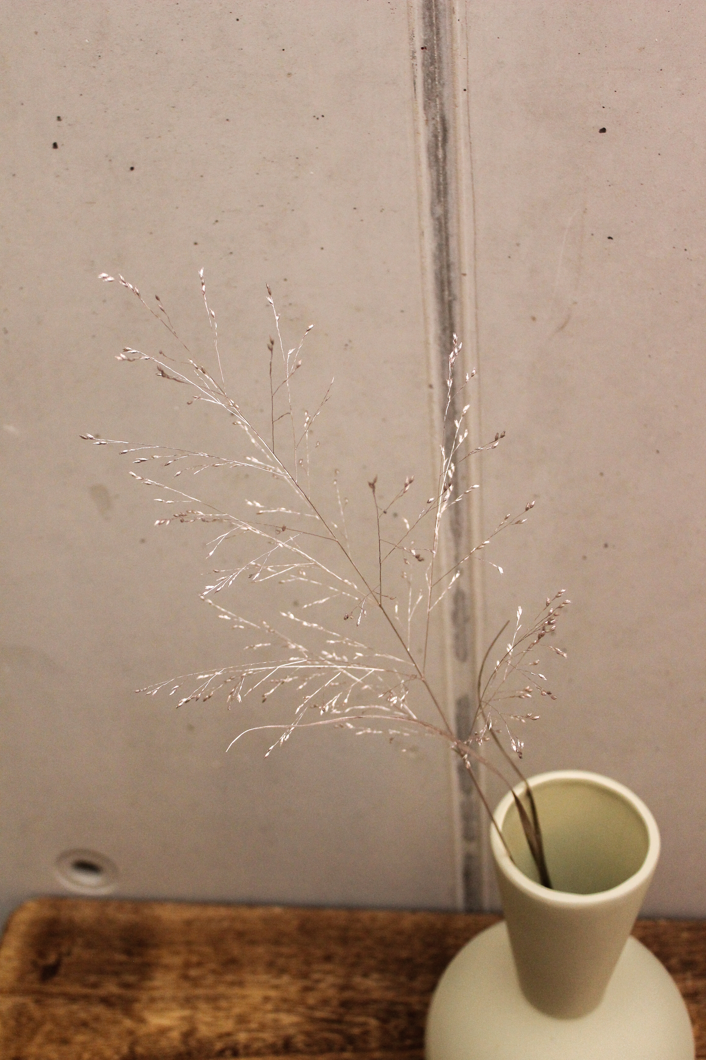 Gräser Champagner 3er Set