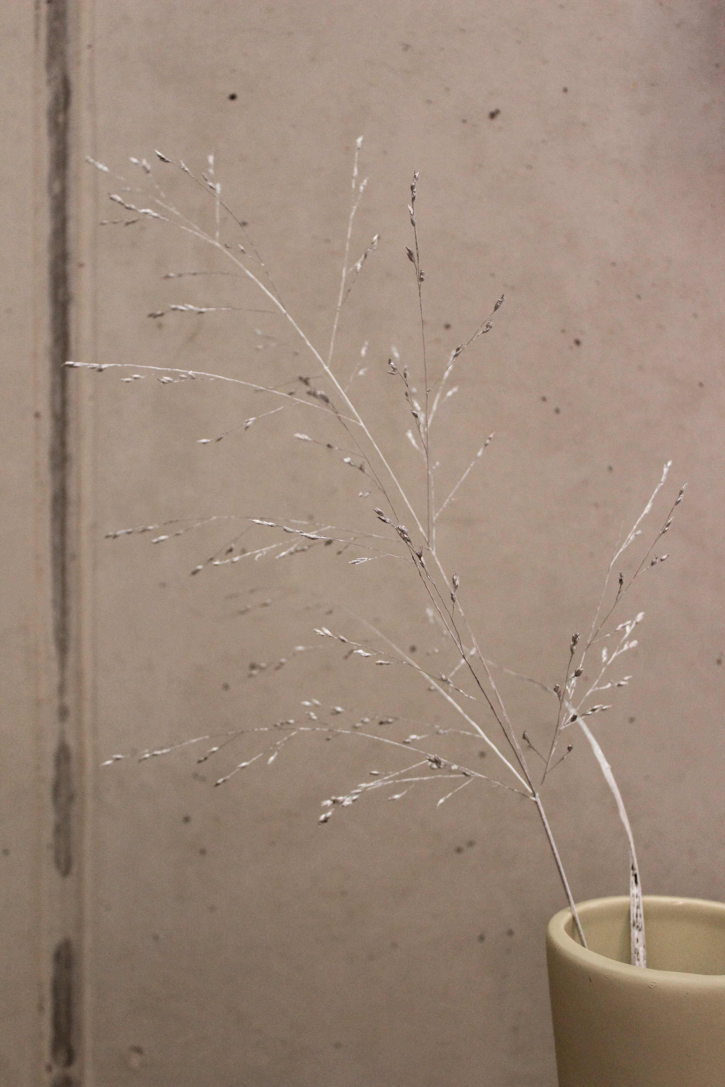 3er Set Gräser getrocknet - Silber