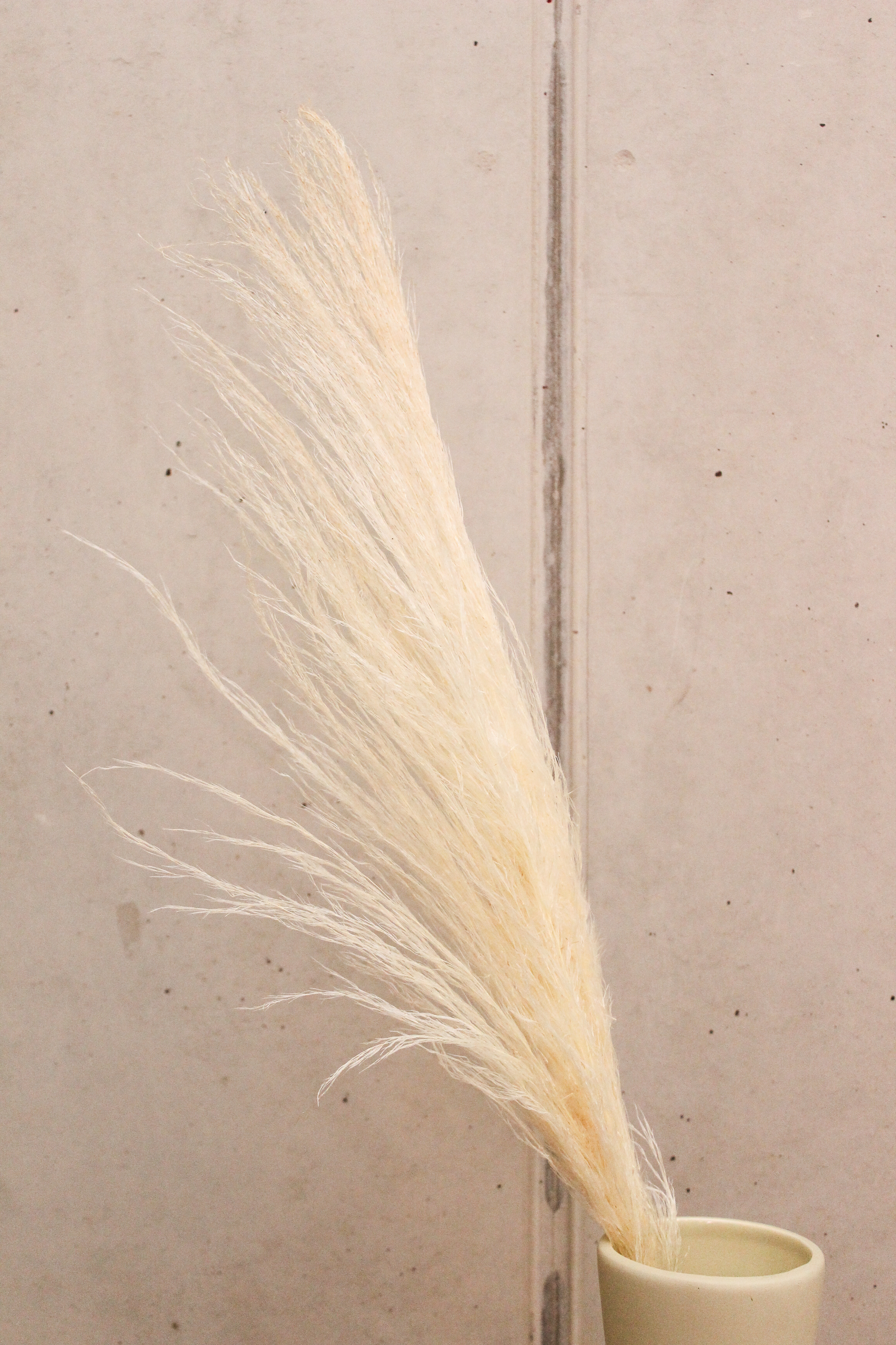 100565_01.jpg