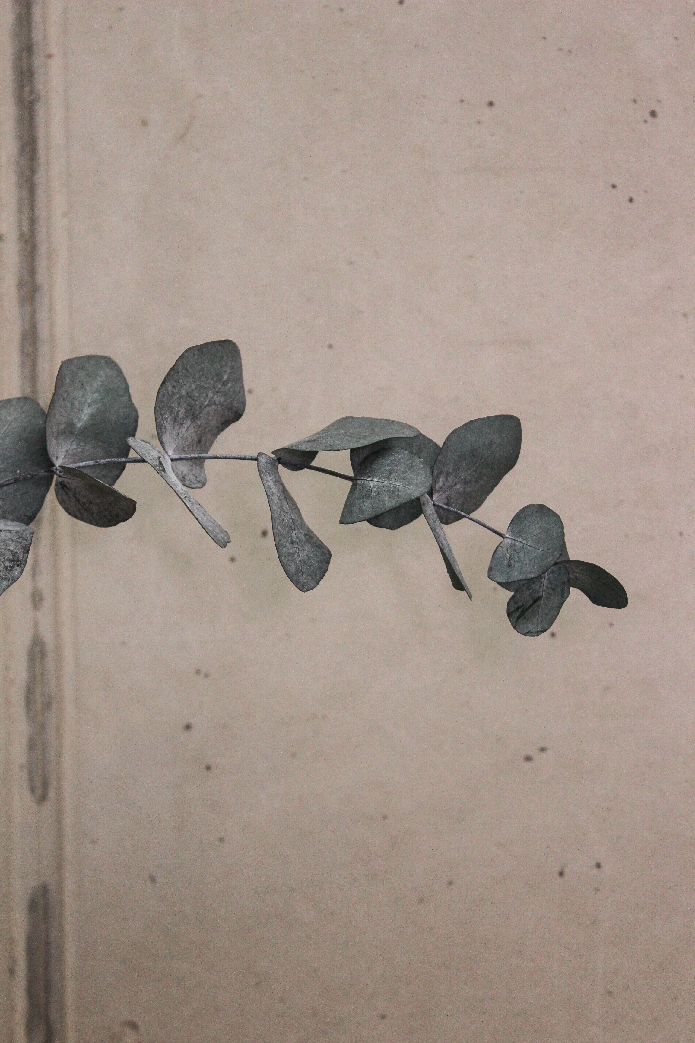 100558_02.jpg